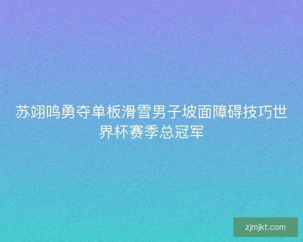 苏翊鸣勇夺单板滑雪男子坡面障碍技巧世界杯赛季总冠军